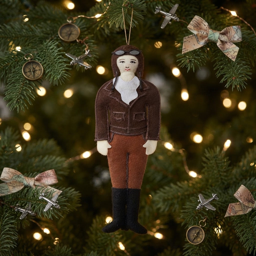 Amelia Earhart Decoration