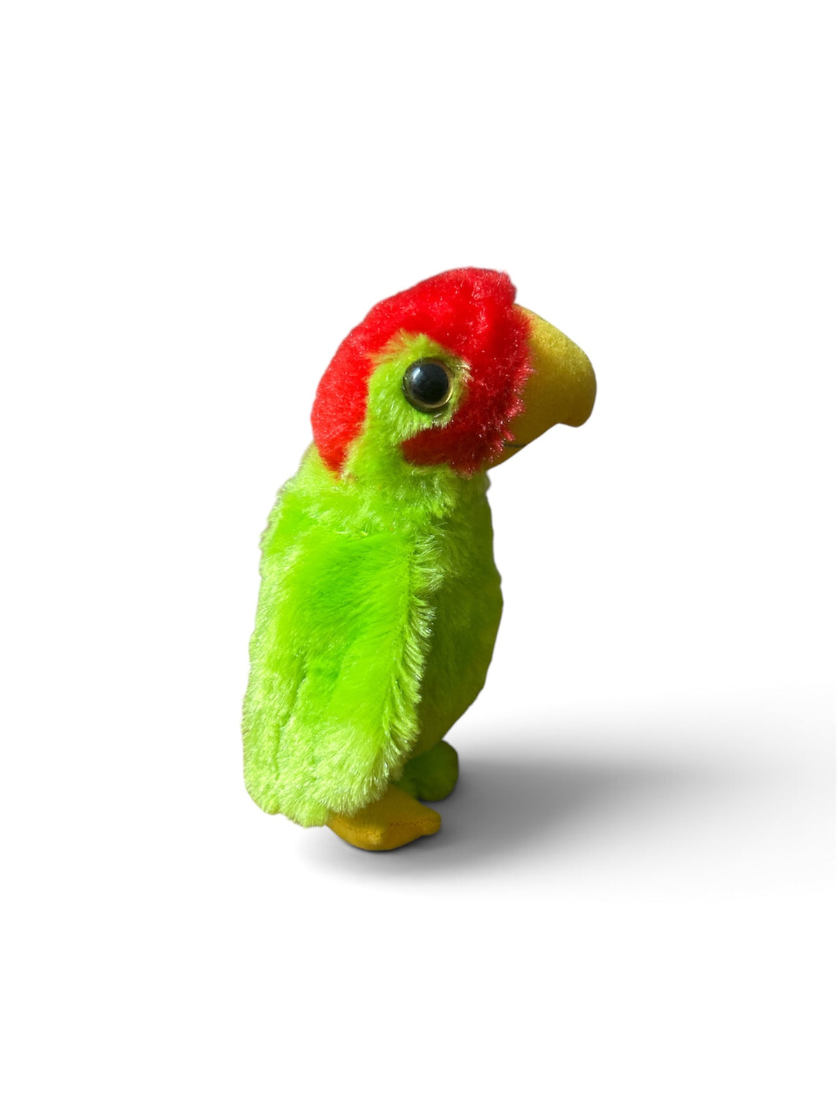 Polly The Parrot