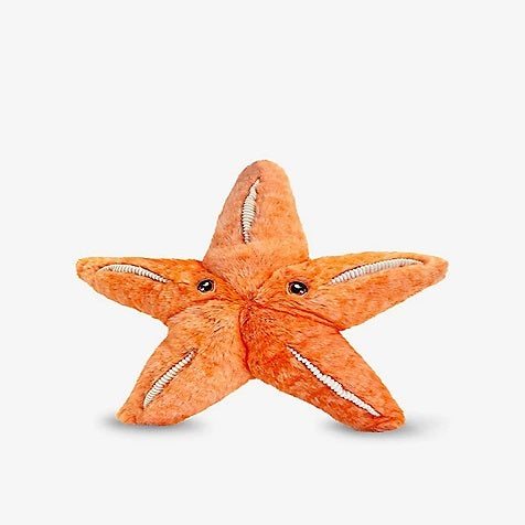 Plush starfish toy on a white background