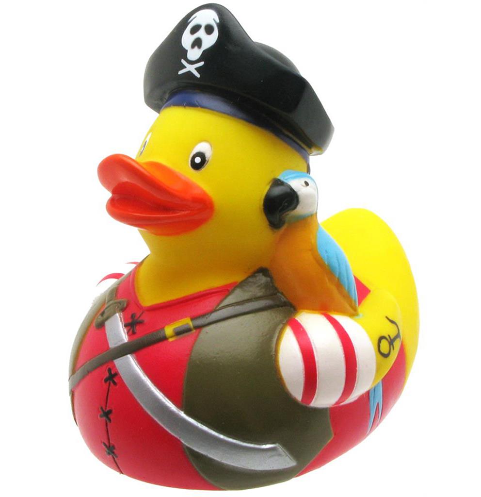 Pirate Duck