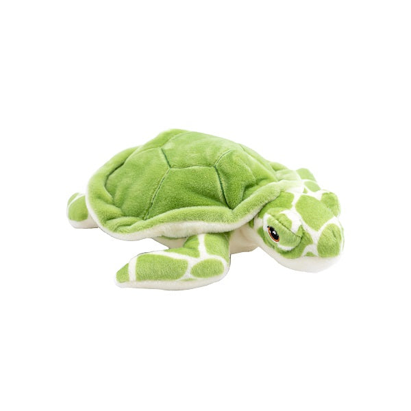 Green plush turtle toy on a white background