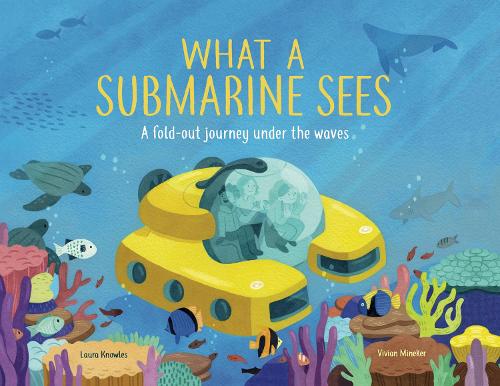 What A Submarine Sees